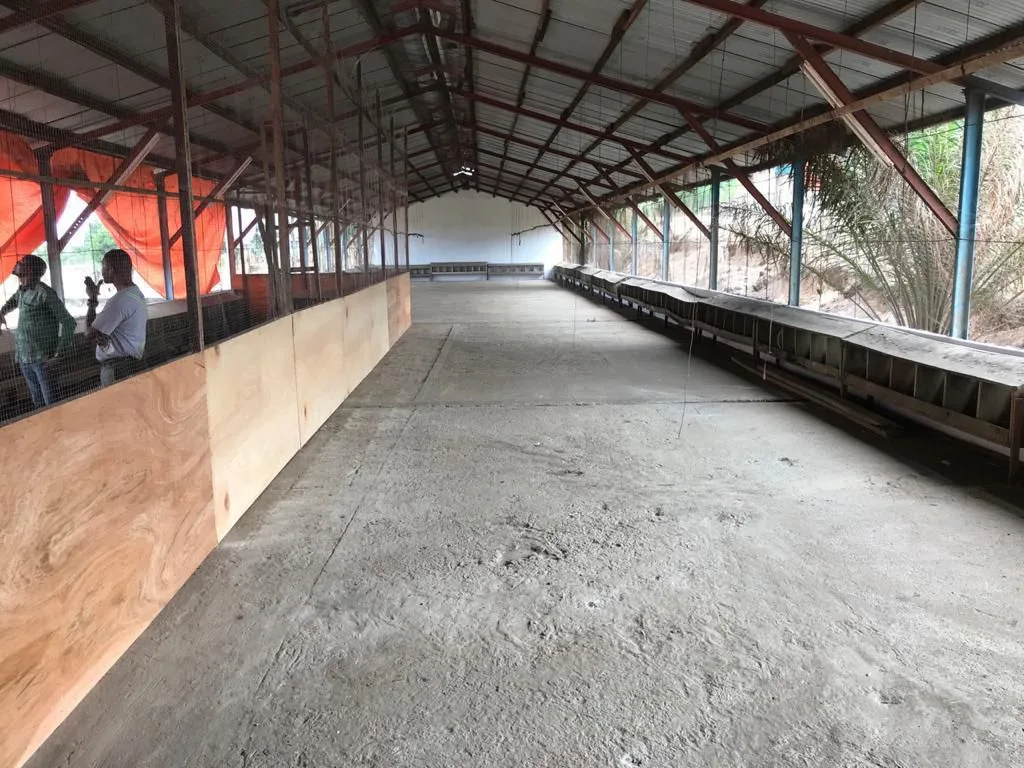Parcelle (ex Ferme avicole) 50x70m²